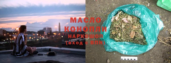 индика Алапаевск