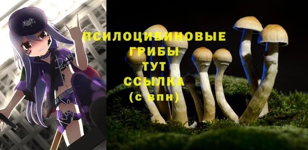 соль ск Абдулино