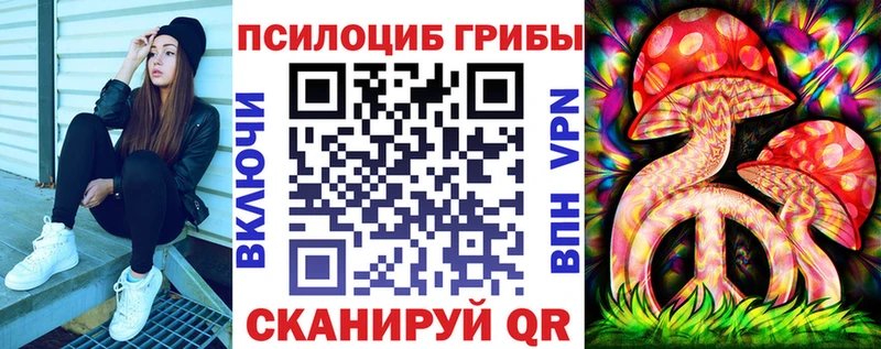 Псилоцибиновые грибы Psilocybe Белый