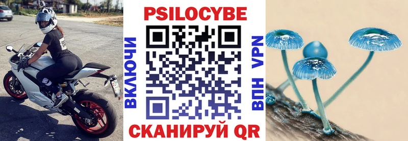 кракен маркетплейс  Белый  Псилоцибиновые грибы Psilocybine cubensis 